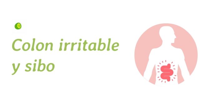 colon-irritable-sibo-morehealthy-sevilla